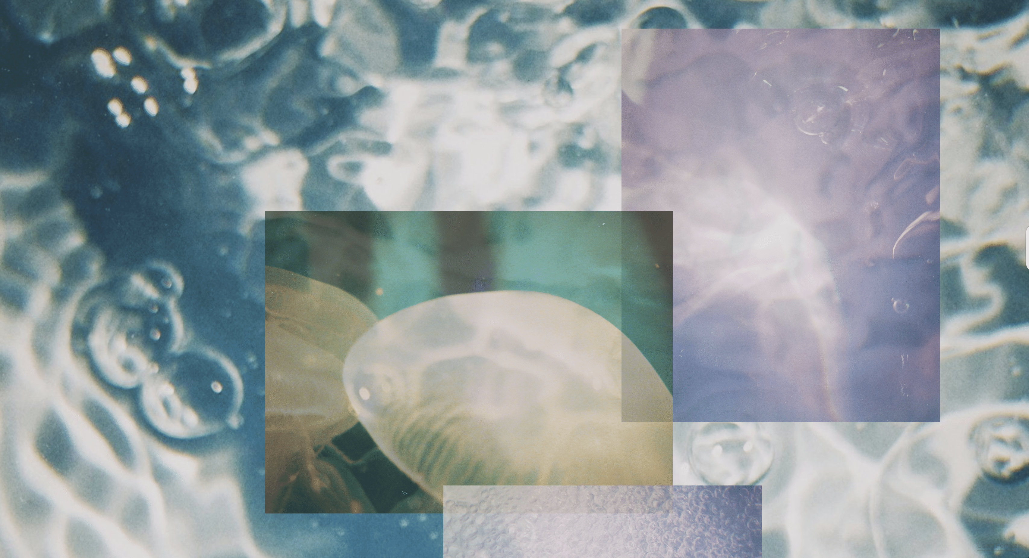 Format Insiders Flex Their Creativity with New Tools